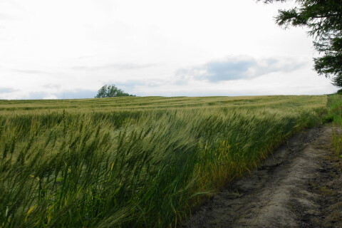 DSC07703ND.JPG