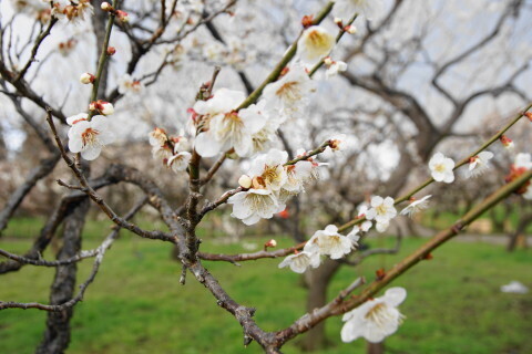 DSC07704.JPG