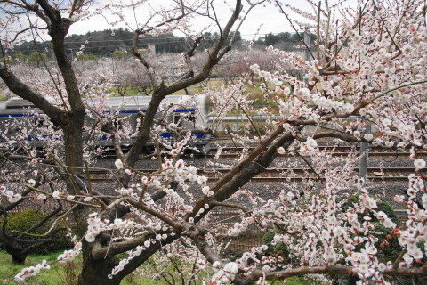 DSC07721.JPG