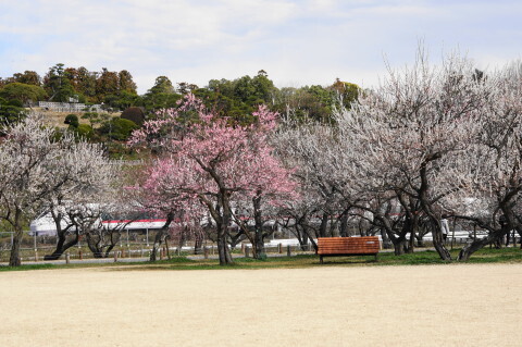 DSC07736.JPG
