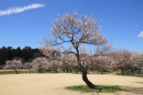 DSC07740.JPG