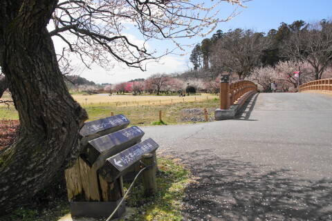 DSC07748.JPG