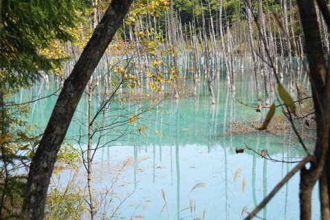 DSC08007.JPG