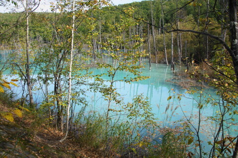 DSC08010.JPG