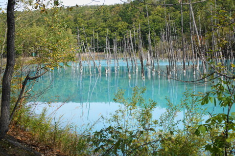 DSC08012.JPG