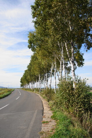 DSC08125.JPG