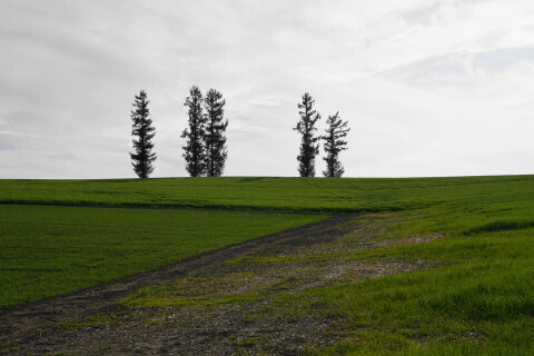 DSC08148.JPG