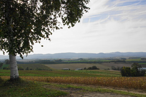 DSC08149.JPG