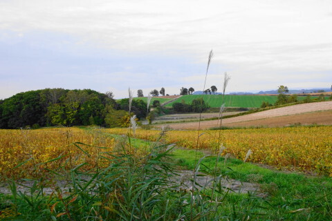 DSC08199.JPG