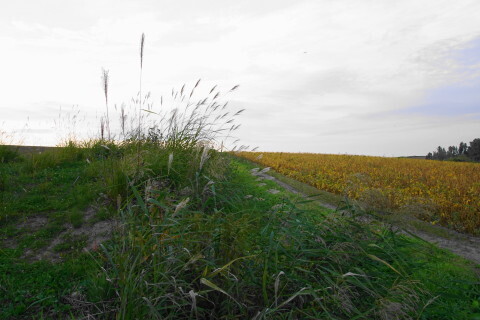 DSC08200.JPG