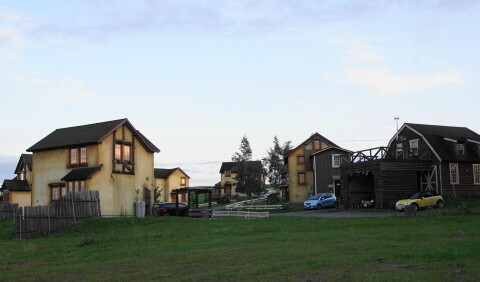 DSC08202.JPG