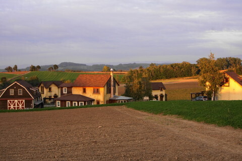DSC08234.JPG