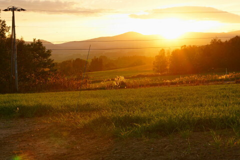 DSC08239.JPG