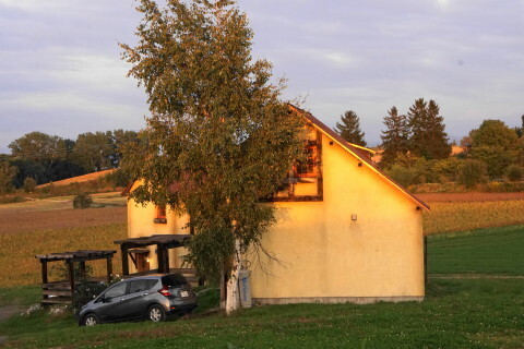 DSC08241.JPG