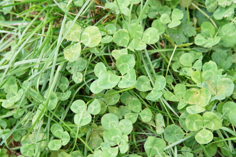 DSC08257.JPG
