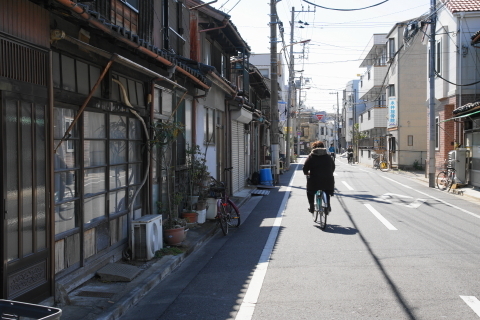 DSC08263.JPG