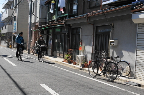 DSC08264.JPG