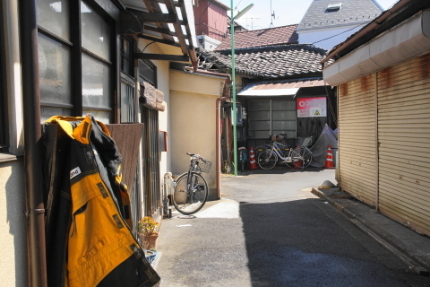 DSC08266.JPG
