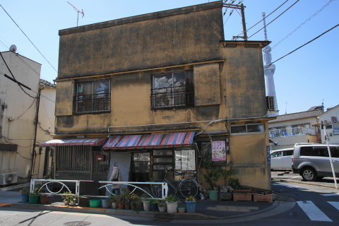 DSC08271.JPG