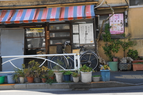 DSC08272.JPG