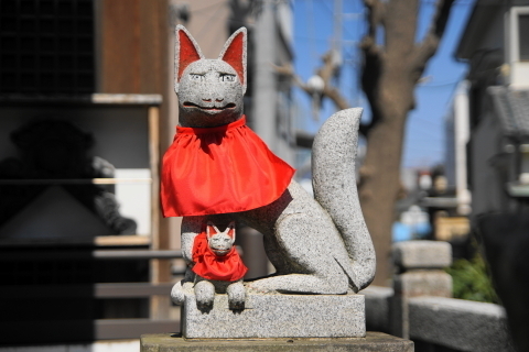 DSC08276.JPG