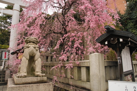 DSC08410.JPG