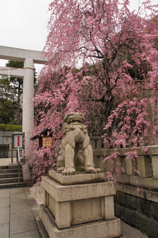 DSC08412.JPG