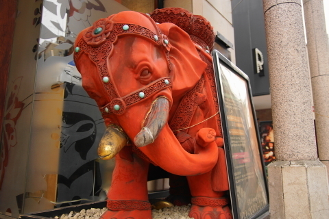 DSC08426.JPG