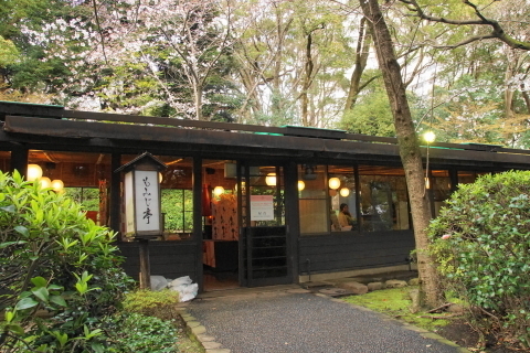 DSC08431.JPG
