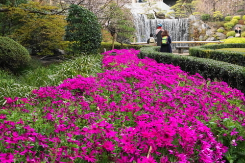 DSC08435.JPG