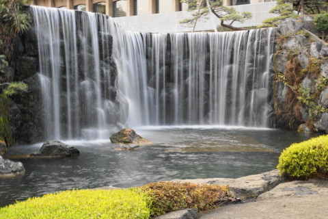 DSC08452.JPG