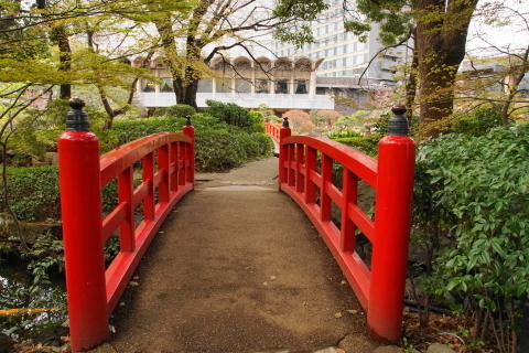 DSC08455.JPG