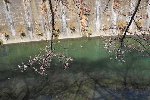 DSC08461.JPG
