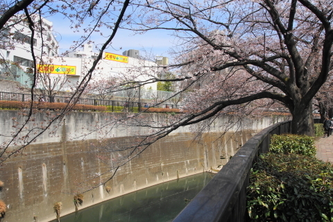 DSC08462.JPG