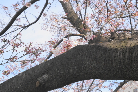 DSC08464.JPG