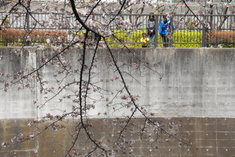 DSC08466.JPG