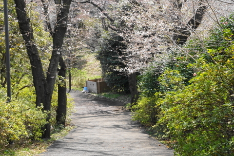 DSC08467.JPG