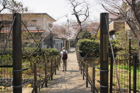 DSC08472.JPG