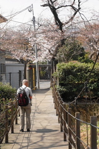 DSC08473.JPG