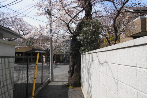 DSC08476.JPG