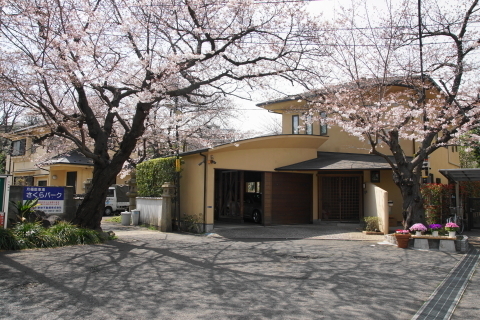 DSC08482.JPG