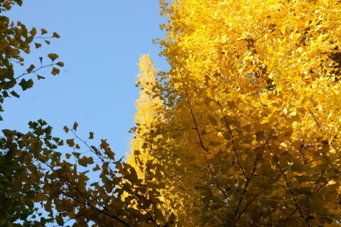 DSC08558N.JPG