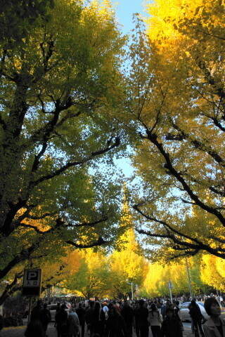 DSC08560N.JPG