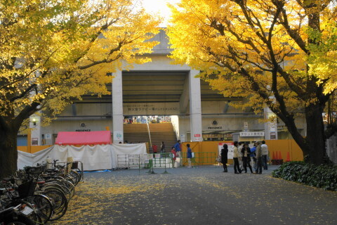 DSC08562N.JPG