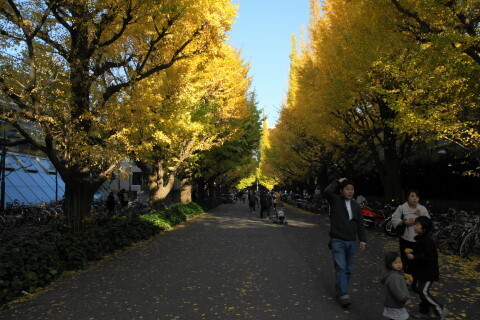 DSC08566N.JPG