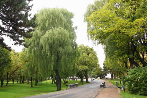 DSC08576.JPG