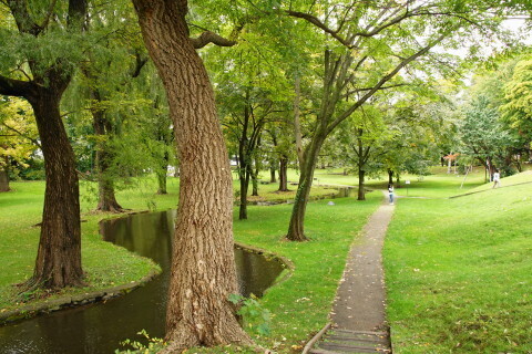 DSC08580.JPG