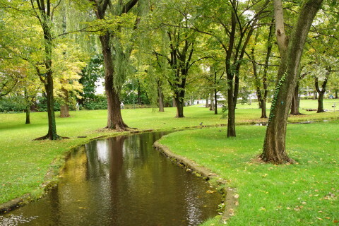 DSC08581.JPG