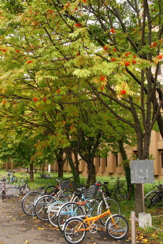 DSC08589.JPG