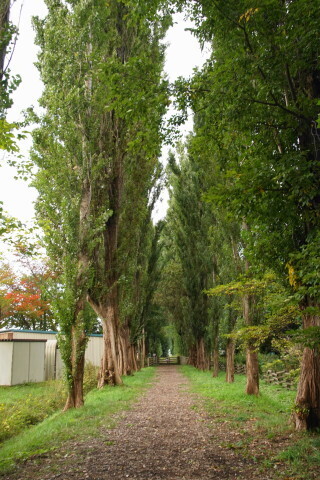 DSC08592.JPG